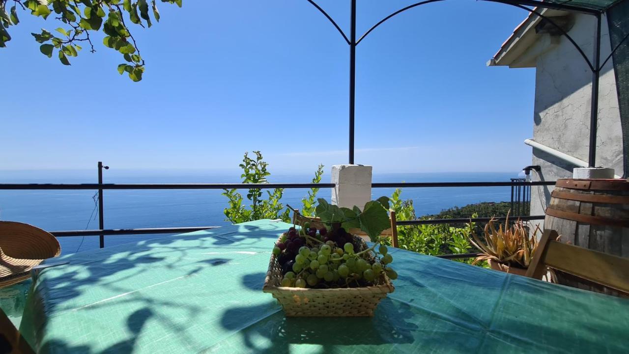 Biassa Sunset - Homy 5 Terre Retreat 아파트 외부 사진